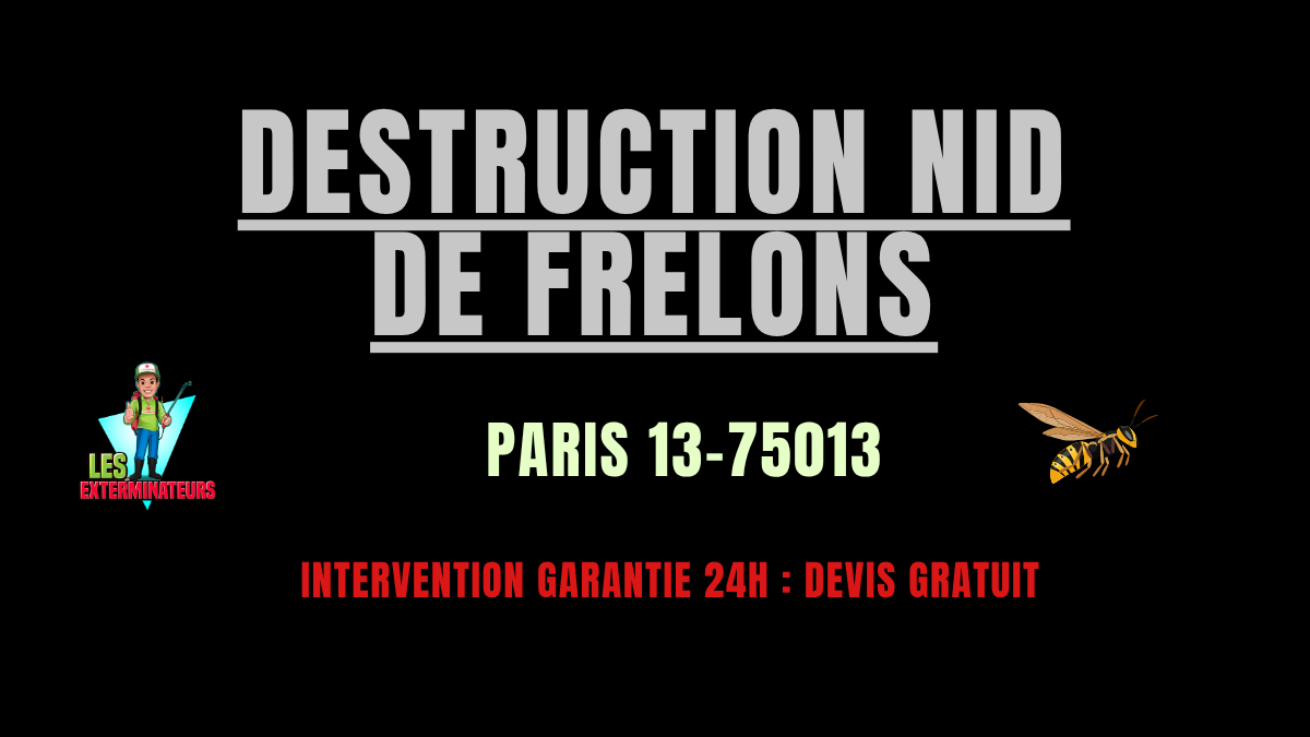 nid de frelons Paris 13-75013