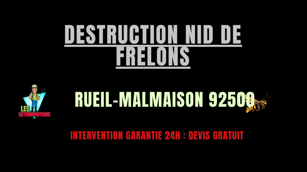 Destruction nid de frelons Rueil-Malmaison