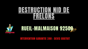 Destruction nid de frelons Rueil-Malmaison