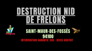 nid de frelons Saint-Maur-des-Fossés