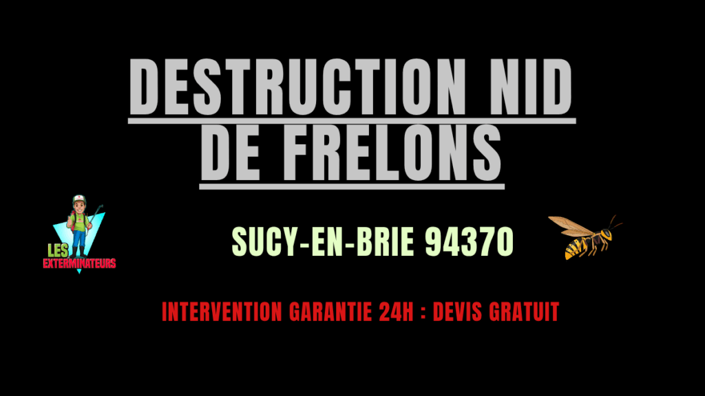nid de frelons Sucy-en-Brie