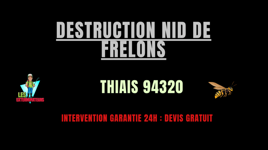 Destruction nid de frelons Thiais
