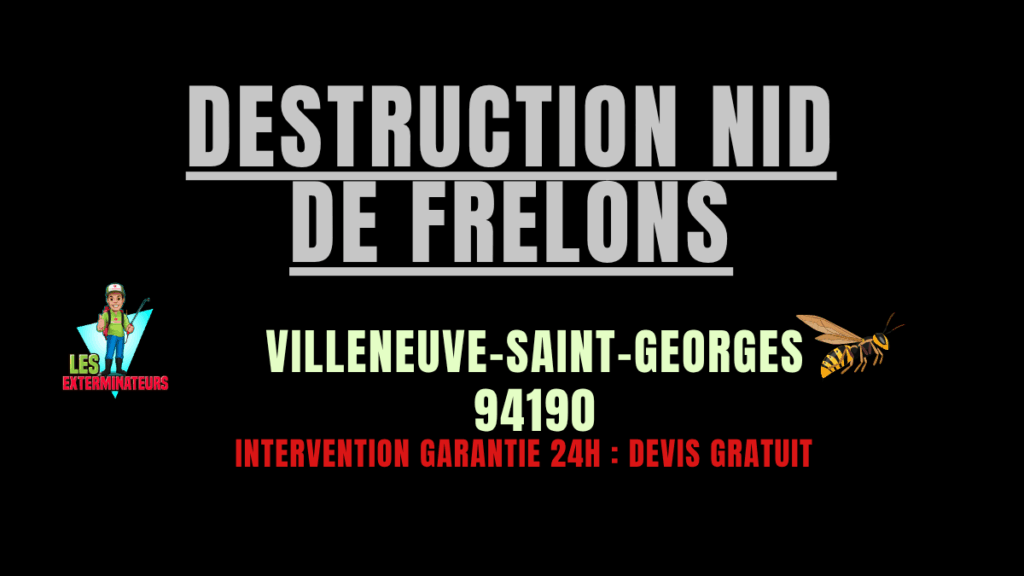 nid de frelons Villeneuve-Saint-Georges