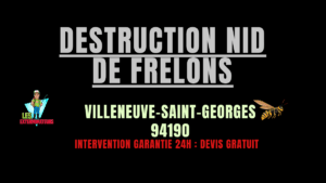 nid de frelons Villeneuve-Saint-Georges