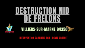 Destruction nid de frelons Villiers-sur-Marne