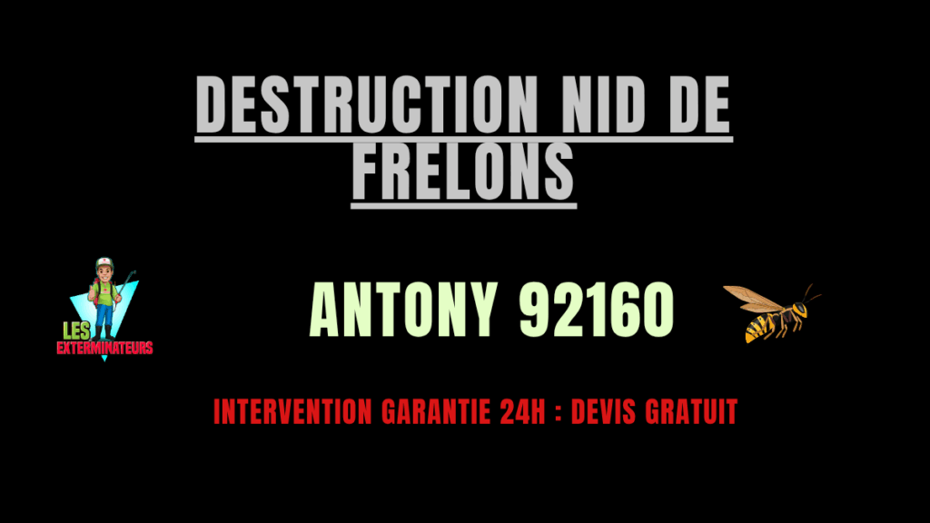 Destruction nid de frelons Antony