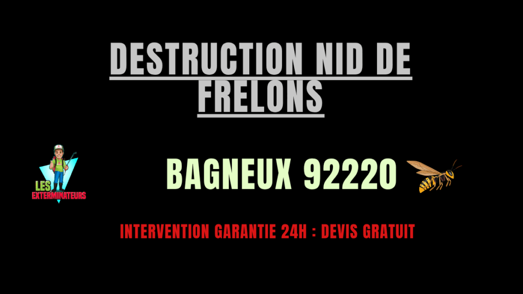 Destruction nid de frelons Bagneux