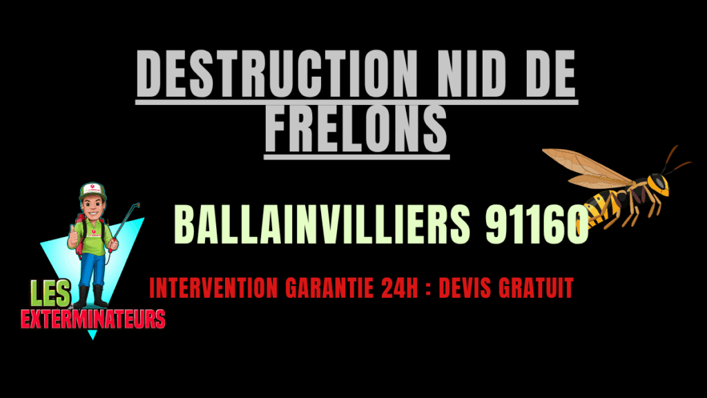 Destruction nid de frelons Ballainvilliers