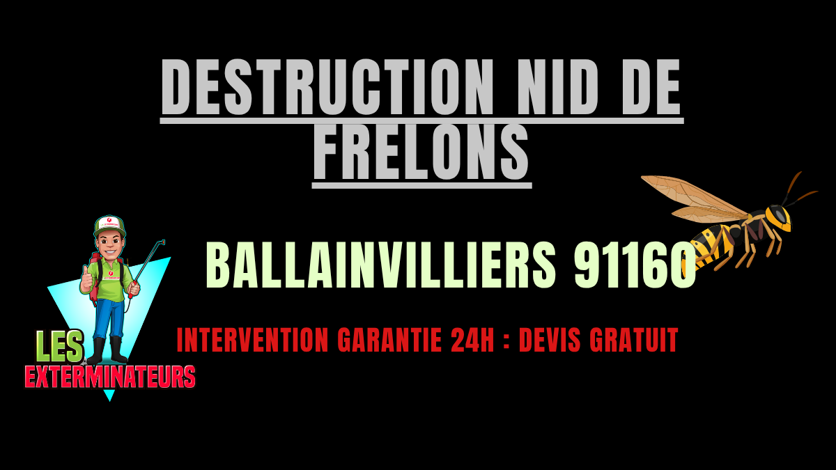 Destruction nid de frelons Ballainvilliers