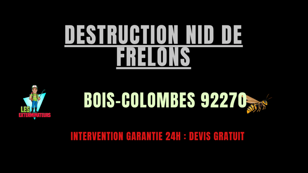 Destruction nid de frelons Bois-Colombes