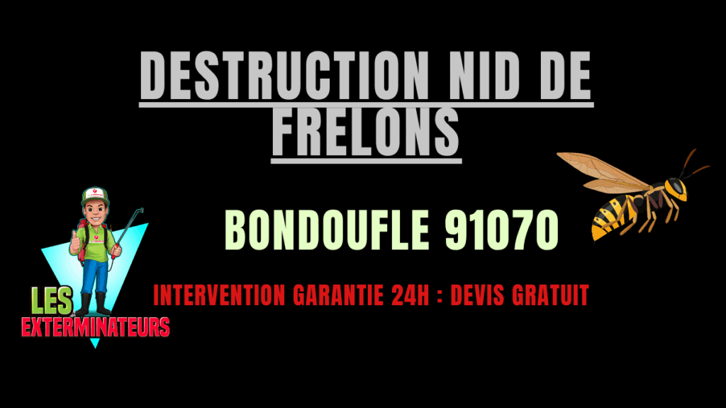 Destruction nid de frelons Bondoufle