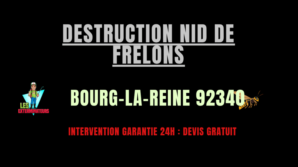 Destruction nid de frelons Bourg-la-Reine