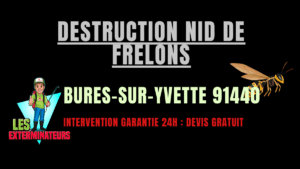 Destruction nid de frelons Bures-sur-Yvette