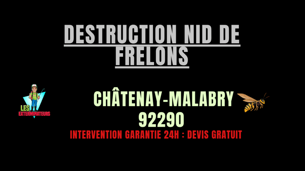Destruction nid de frelons Châtenay-Malabry