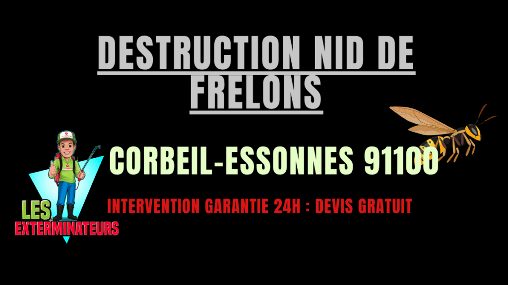 Destruction nid de frelons Corbeil-Essonnes