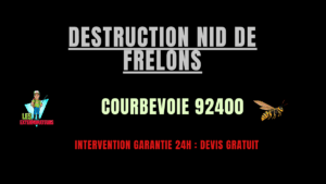 Destruction nid de frelons Courbevoie