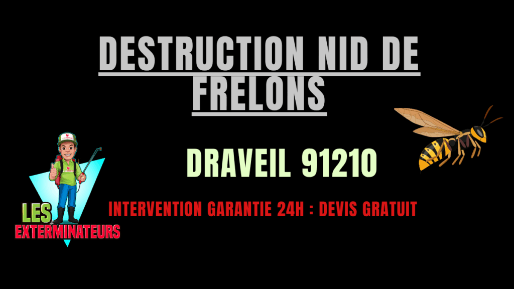 Destruction nid de frelons Draveil