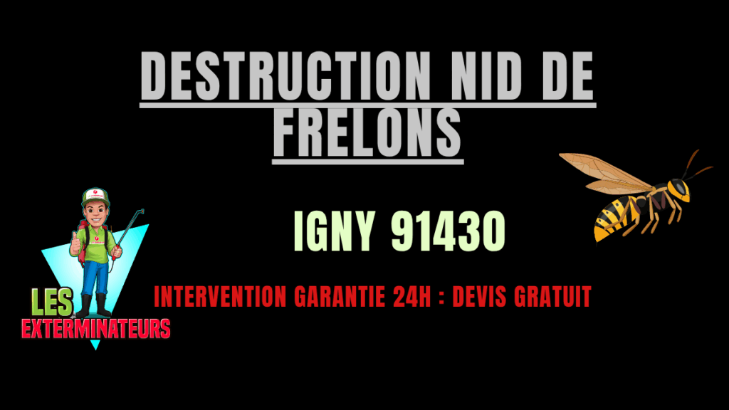 Destruction nid de frelons Igny