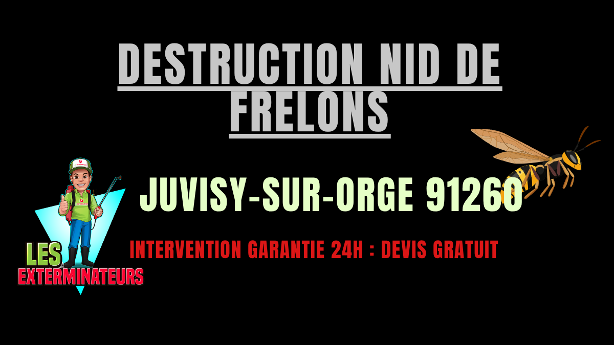 Destruction nid de frelons Juvisy-sur-Orge