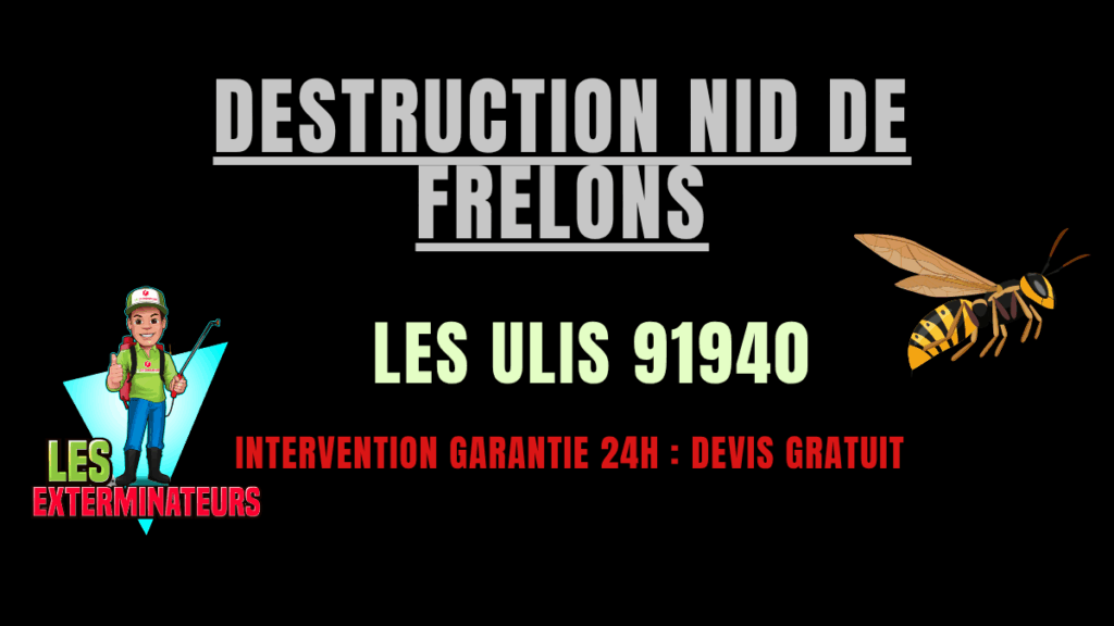 Destruction nid de frelons LES Ulis