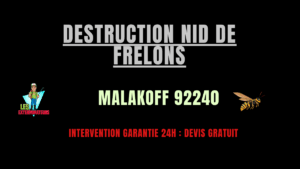 Destruction nid de frelons Malakoff