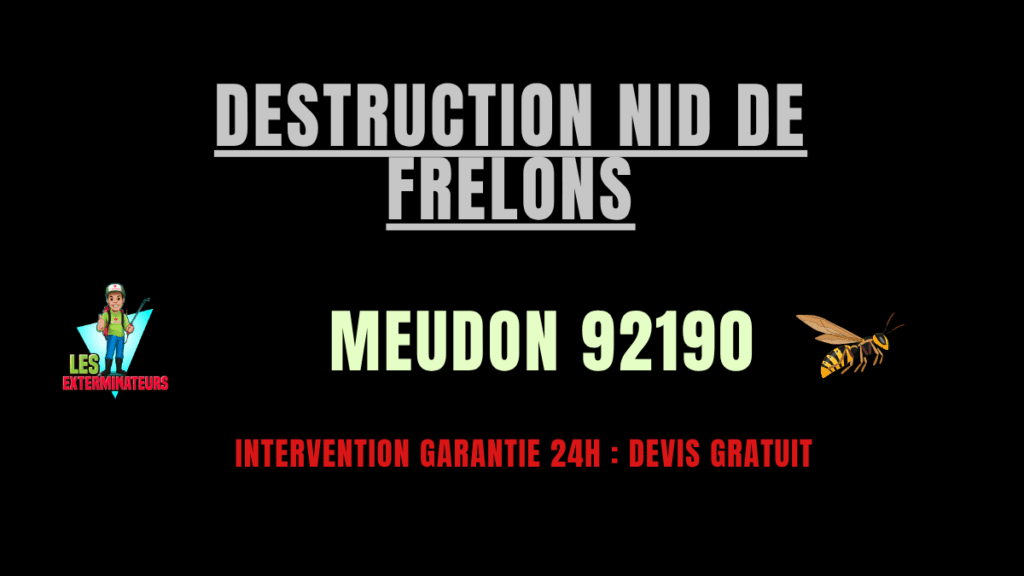 Destruction nid de frelons Meudon