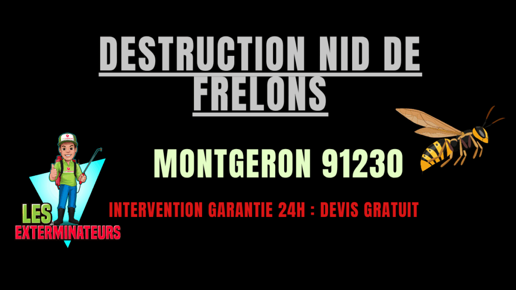Destruction nid de frelons Montgeron