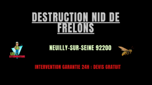 Destruction nid de frelons Neuilly-sur-Seine