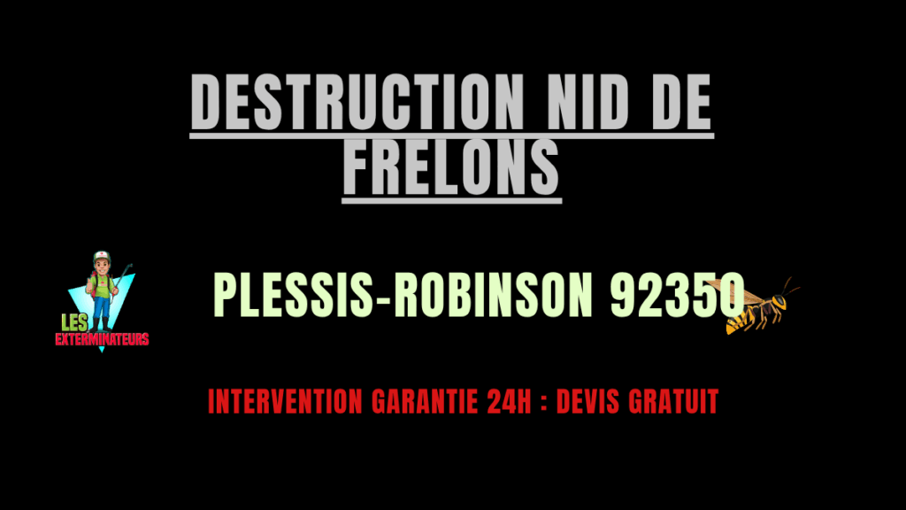 Destruction nid de frelons Plessis-Robinson