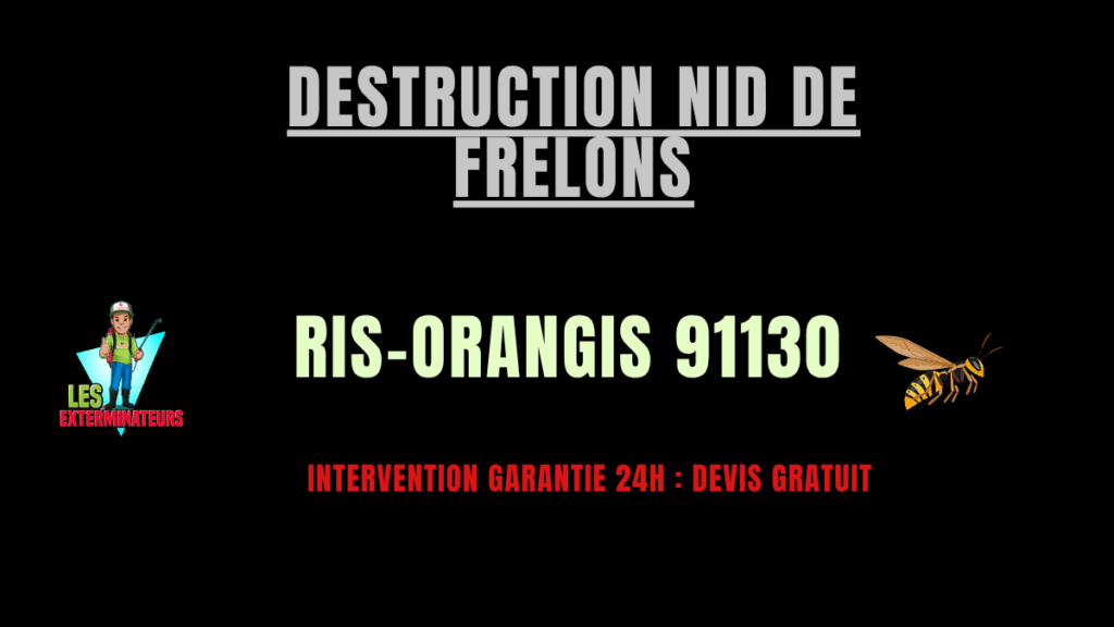 nid de frelons Ris-Orangis