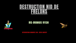 nid de frelons Ris-Orangis