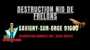 Destruction nid de frelons Savigny-sur-Orge