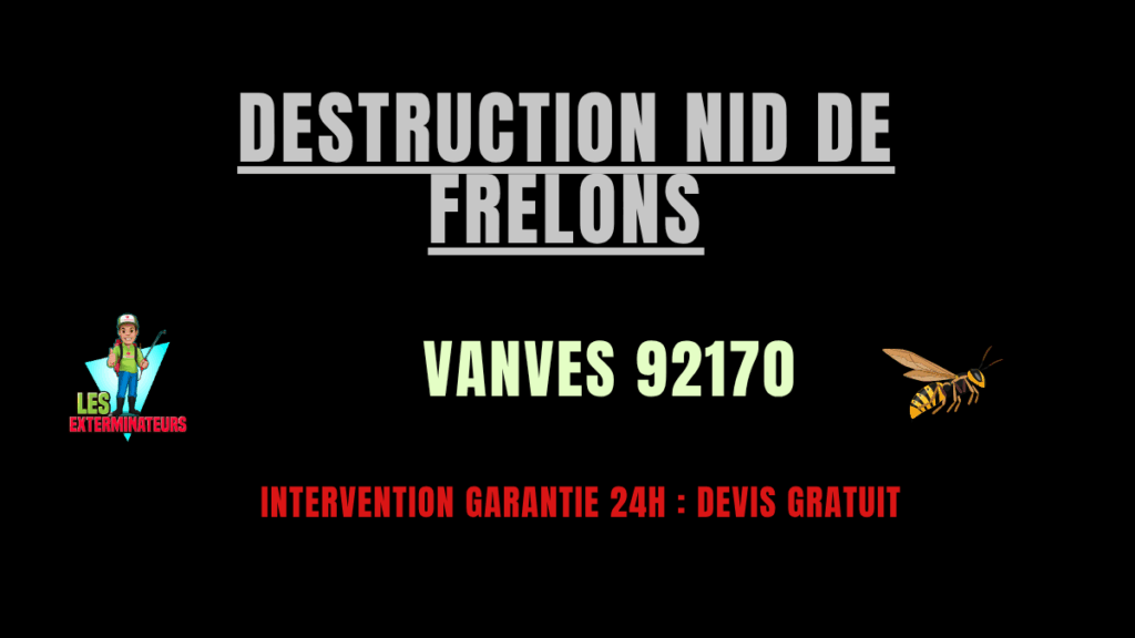 Destruction nid de frelons Vanves