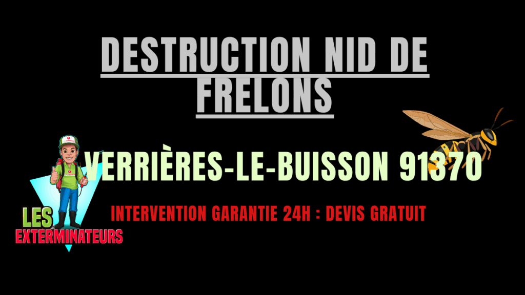 Destruction nid de frelons Verrières-le-Buisson