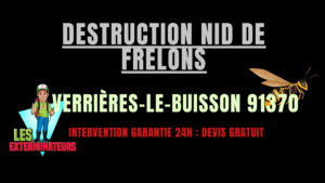 Destruction nid de frelons Verrières-le-Buisson