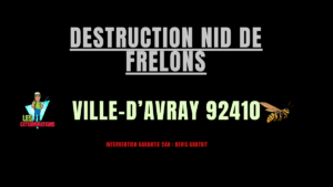Destruction nid de frelons Ville-d’Avray