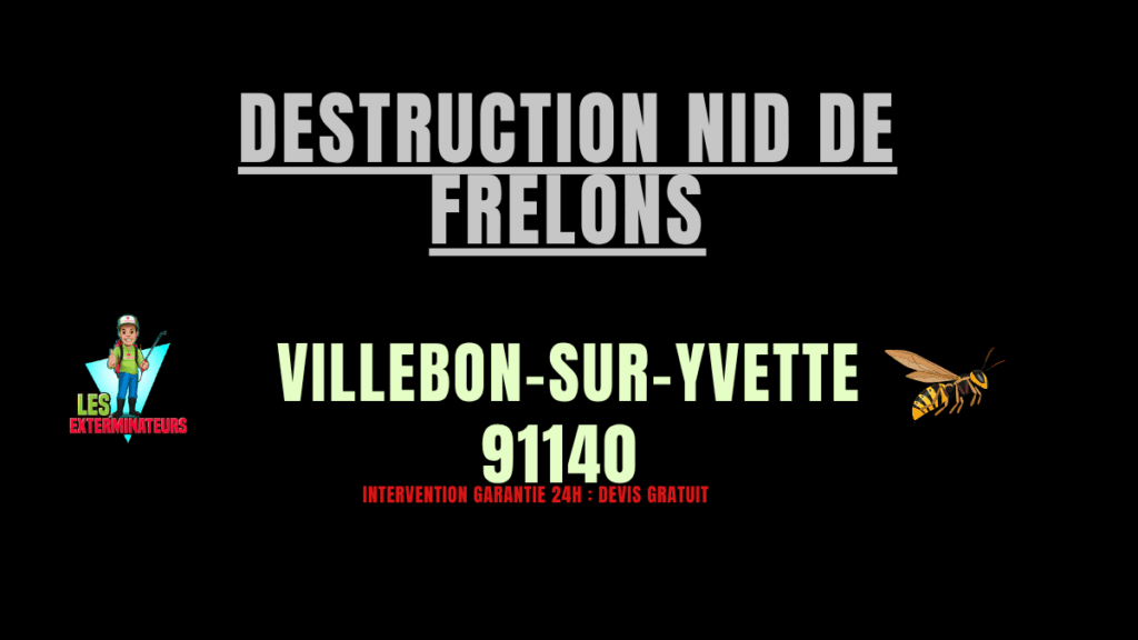Destruction nid de frelons Villebon-sur-Yvette