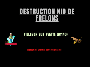 Destruction nid de frelons Villebon-sur-Yvette (