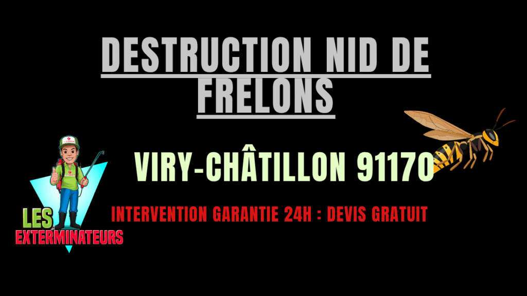 Destruction nid de frelons Viry-Châtillon