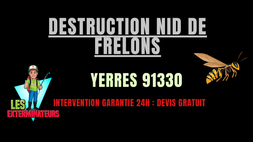 Destruction nid de frelons Yerres