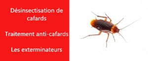 cafards Hauts de Seine