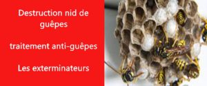 nid de guepes Hauts de Seine