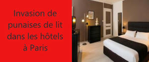 punaises de lit hotel paris