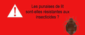 punaises de lit resistente