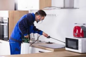 entreprise pour enlever les cafards dans la cuisine les exterminateurs