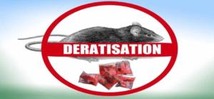 entreprise deratisation rats