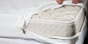housse anti punaise de lit