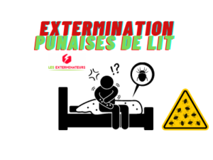 extermination punaise de lit paris