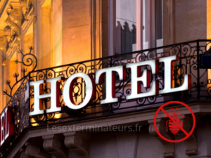 punaises-de-lit-hotels