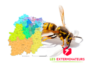 nid de guepes gometz le chatel 1